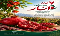  ۷ آبان؛ روز ملی انار، نماد سرخی سلامت و برکت باغ‌های ایران